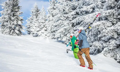 Subkategorie 1.3 Bild 2